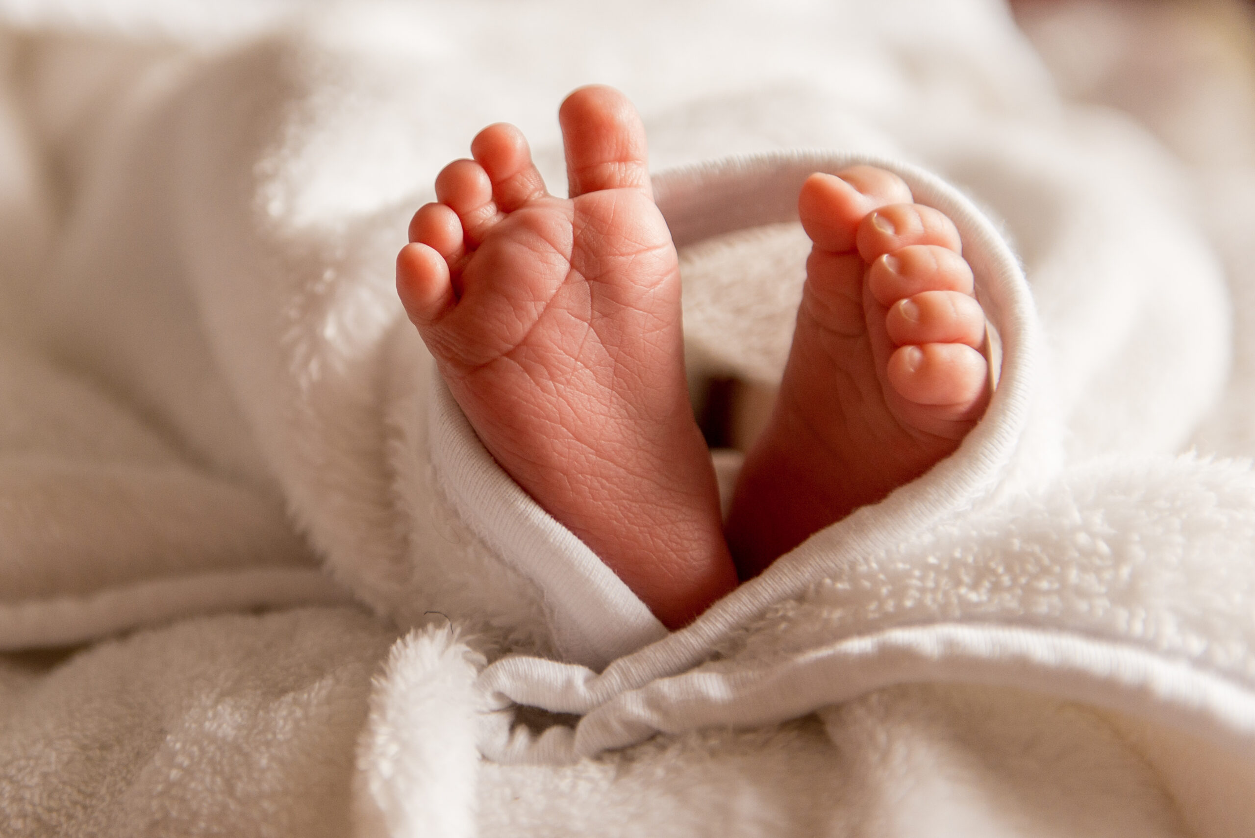 Bare feet of a cute newborn baby in warm white blanket.