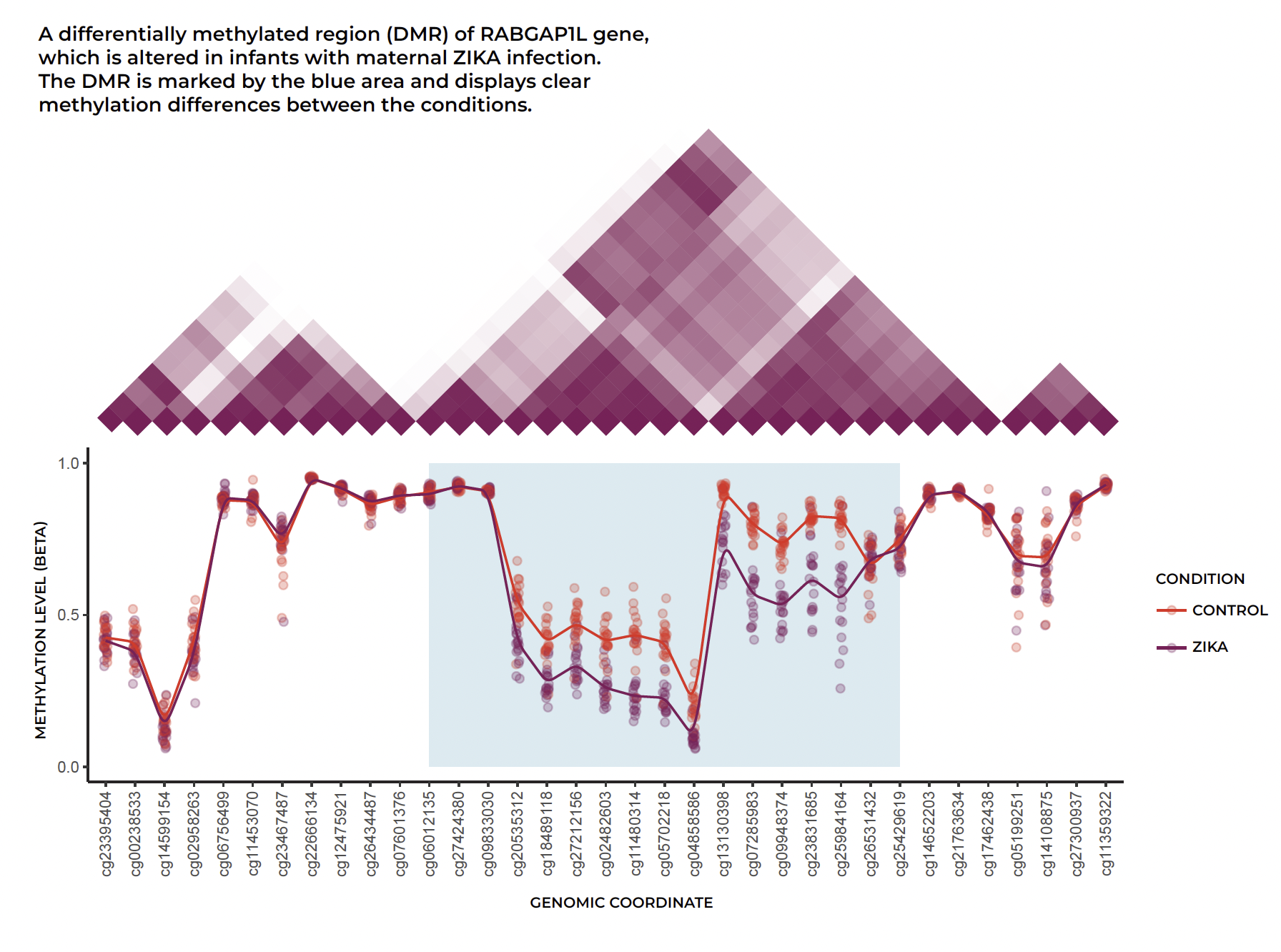 A differentially methylated region (DMR) of RABGAP1L gene that is altered in infants with maternal ZIKA infection.