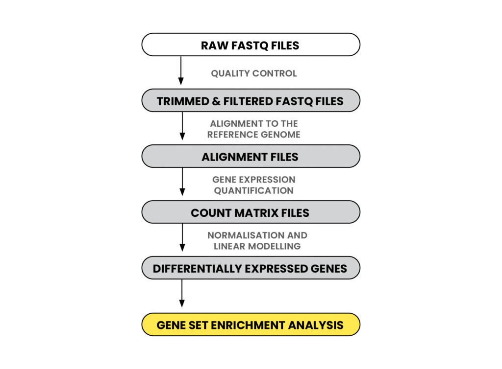 Transcriptomics - VUGENE