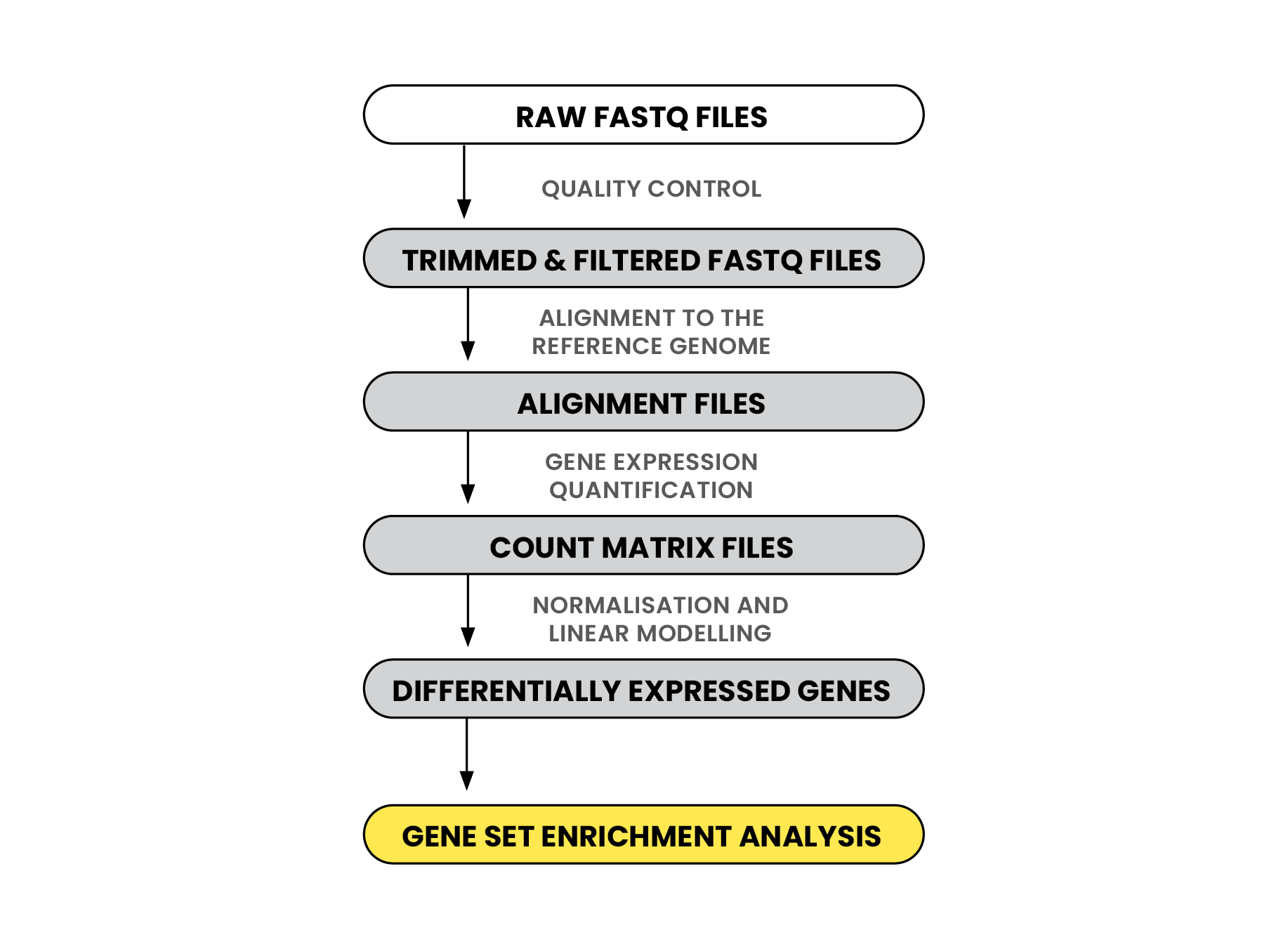 Transcriptomics pipeline