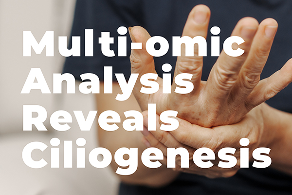 multi-omics